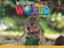 Imagem de WELCOME TO OUR WORLD 1 ACTIVITY BOOK - BRITISH - 2ND ED