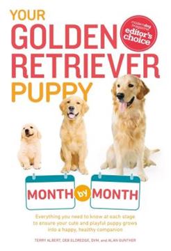 Imagem de YOUR GOLDEN RETRIEVER PUPPY - MONTH BY MONTH - EVERYTHING YOU NEED TO KNOW AT EACH STAGE TO ENSURE YOUR CUTE AND PLAYFUL PUPPY