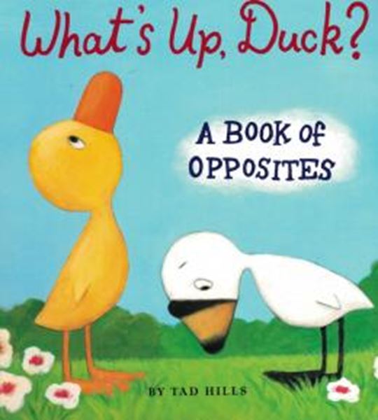 Picture of WHATS UP, DUCK?